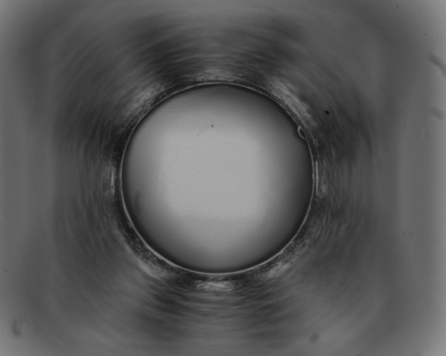 X0000091860157200709191123