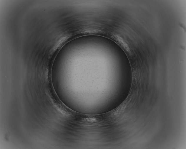 X0000091860159200709191123