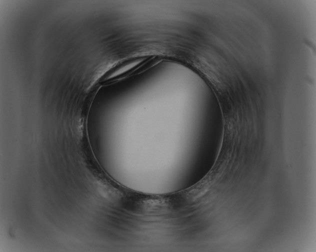 X0000091860160200709191123