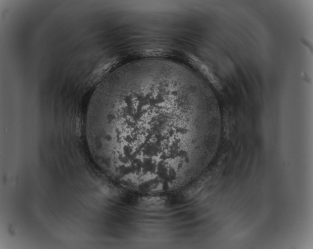 X0000091860161200709191123