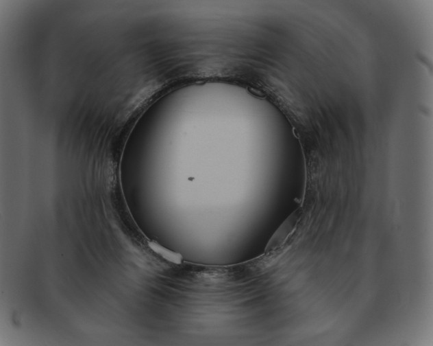 X0000091860164200709191123