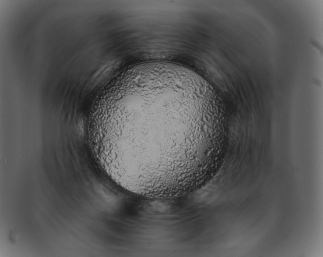 X0000091860166200709191123