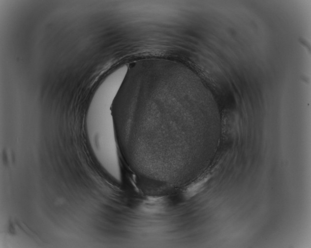 X0000091860168200709191123