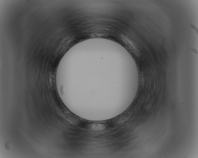 X0000091860169200709191123