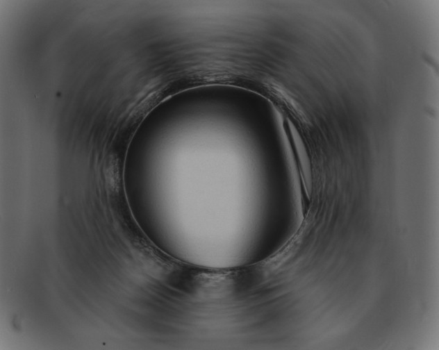 X0000091860170200709191123