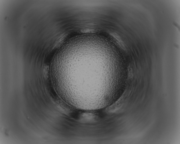 X0000091860171200709191123