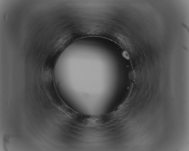 X0000091860172200709191123