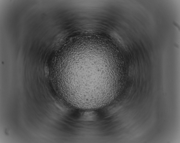 X0000091860173200709191123