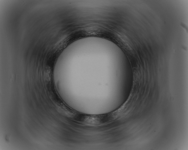 X0000091860174200709191123