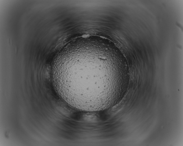 X0000091860175200709191123