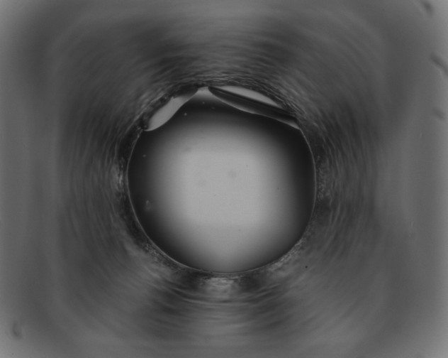 X0000091860176200709191123