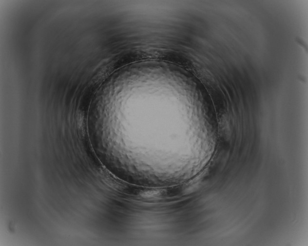 X0000091860178200709191123