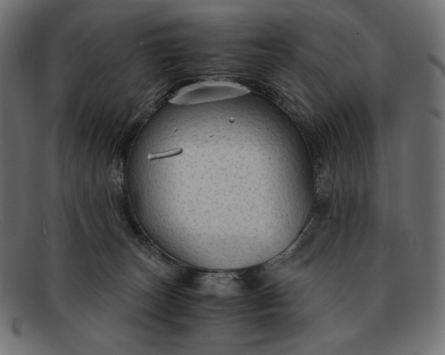 X0000091860179200709191123