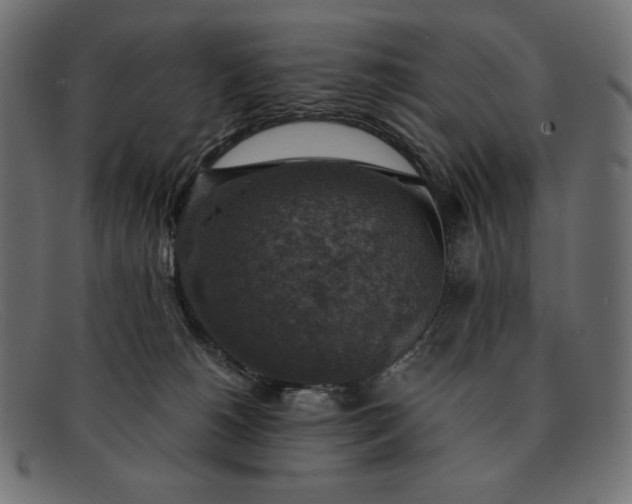 X0000091860180200709191123