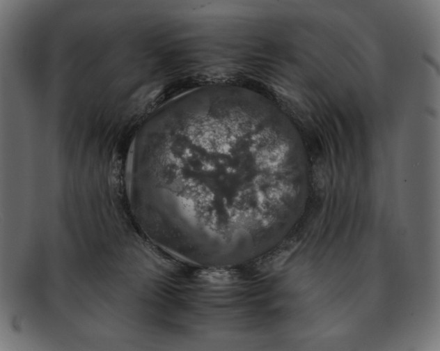 X0000091860181200709191123