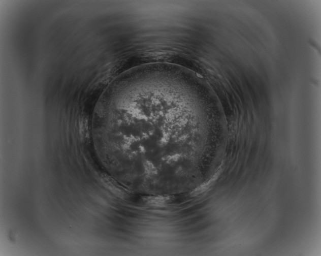 X0000091860182200709191123