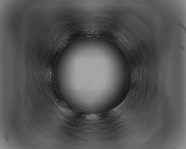 X0000091860183200709191123