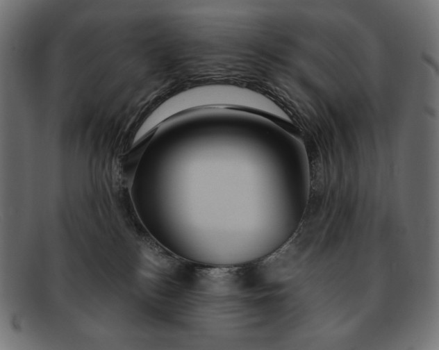 X0000091860184200709191123