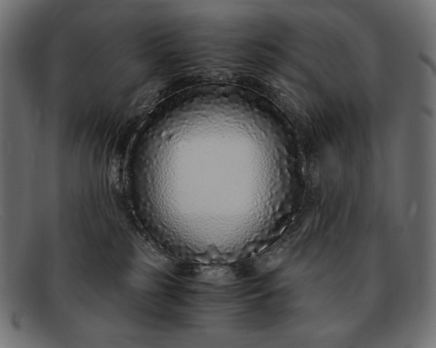 X0000091860185200709191123