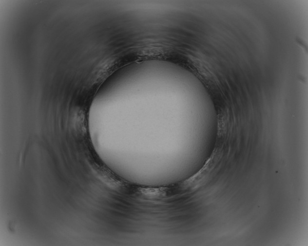 X0000091860187200709191123