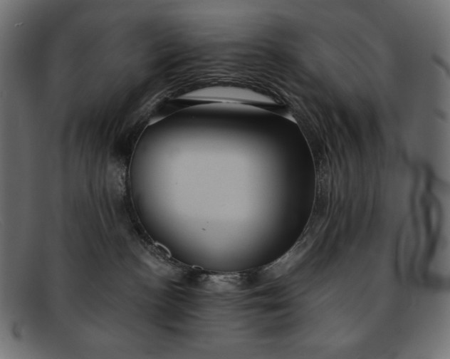 X0000091860188200709191123