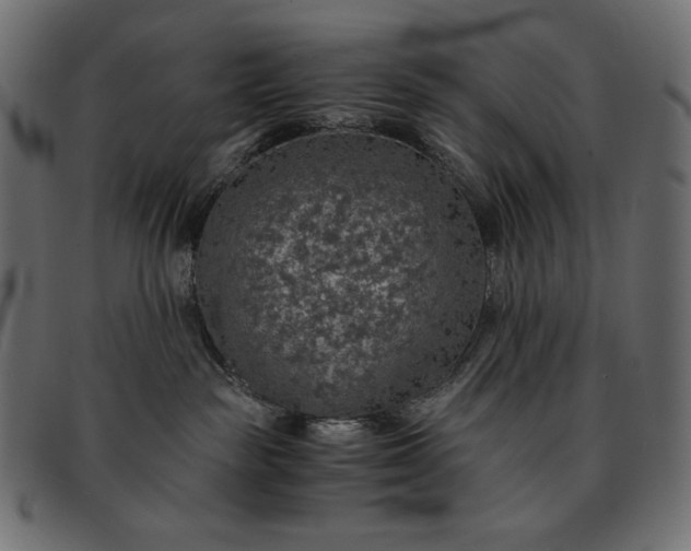 X0000091860189200709191123