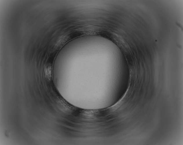 X0000091860190200709191123