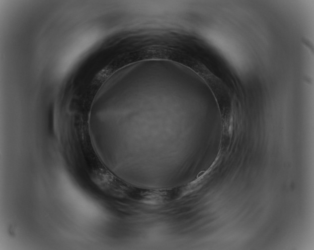 X0000091860191200709191123