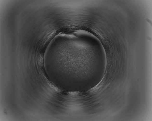 X0000091860192200709191123