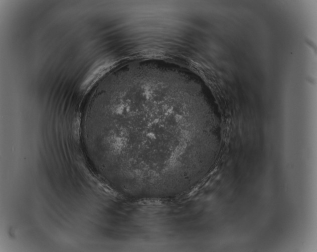 X0000091860194200709191123