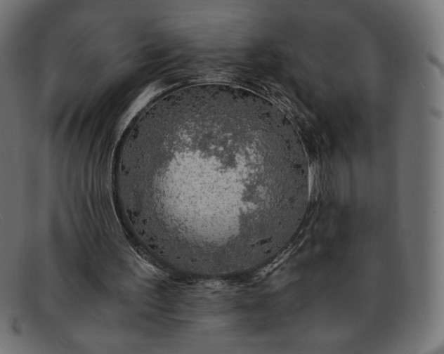 X0000091860195200709191123