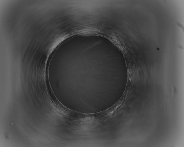 X0000091860196200709191123