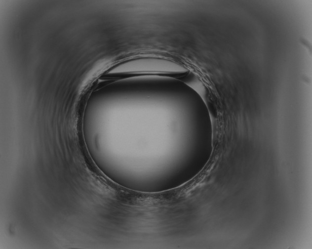 X0000091860197200709191123