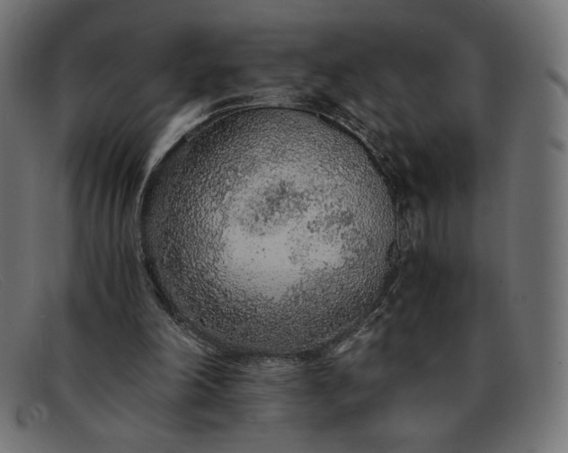 X0000091860198200709191123