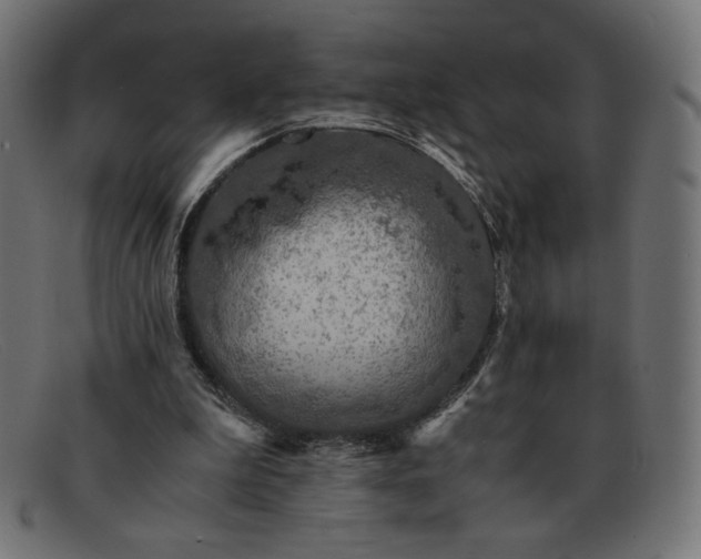 X0000091860199200709191123