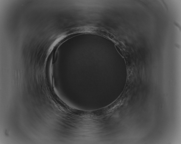 X0000091860200200709191123