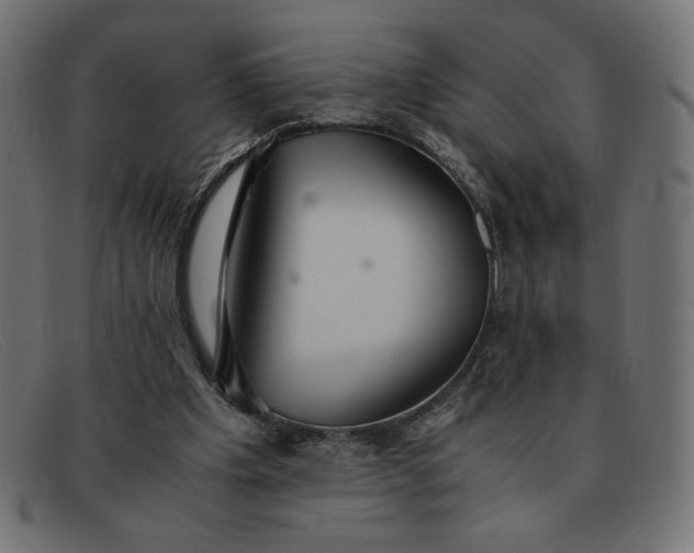 X0000091860201200709191123