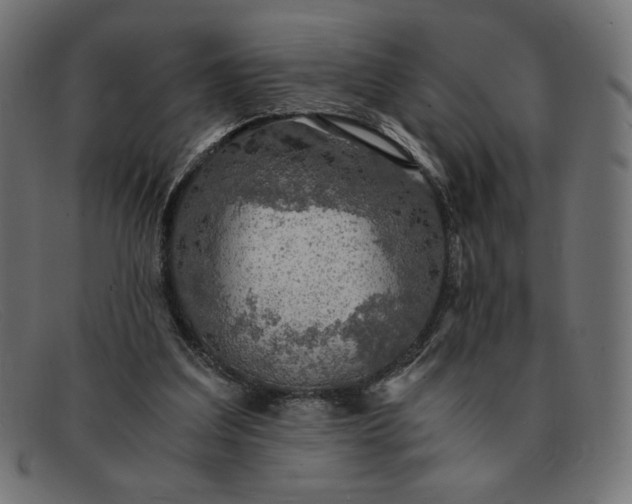 X0000091860203200709191123