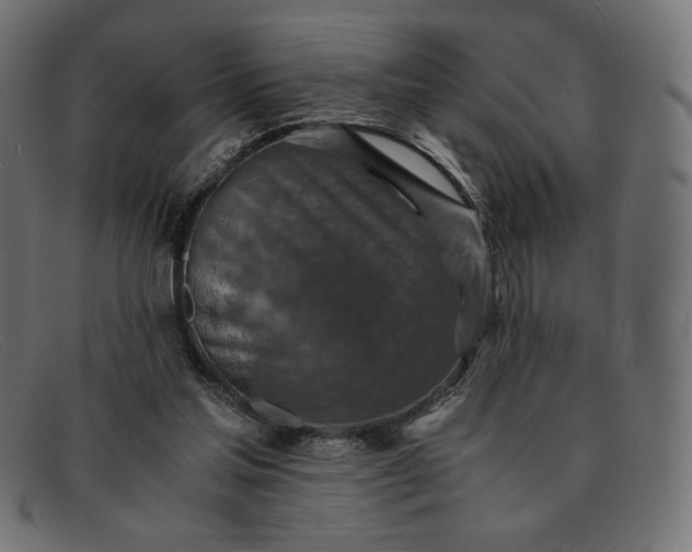 X0000091860205200709191123