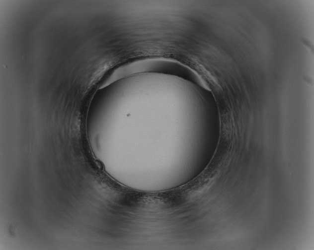 X0000091860207200709191123