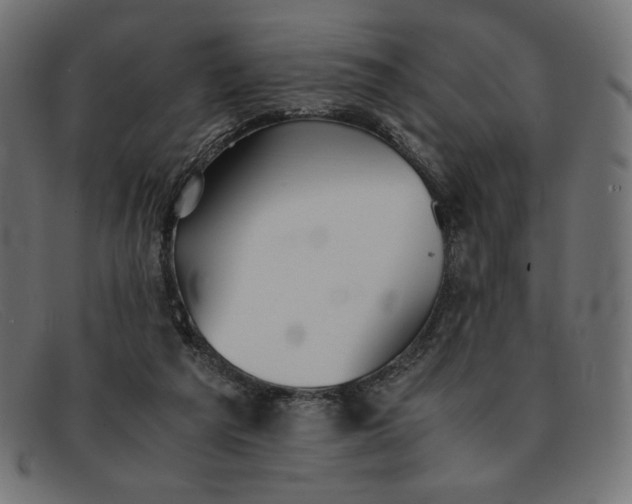 X0000091860209200709191122