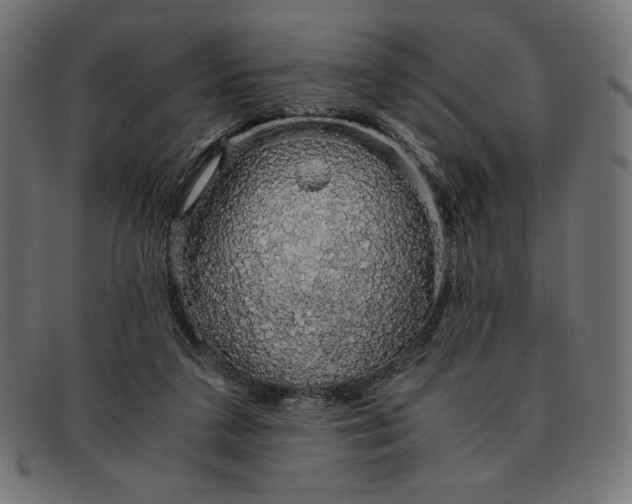 X0000091860211200709191122