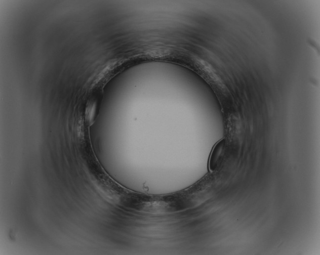 X0000091860212200709191122