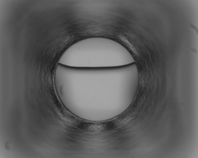 X0000091860213200709191122