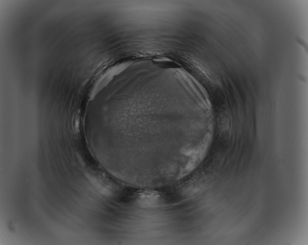 X0000091860214200709191122