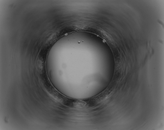 X0000091860215200709191122