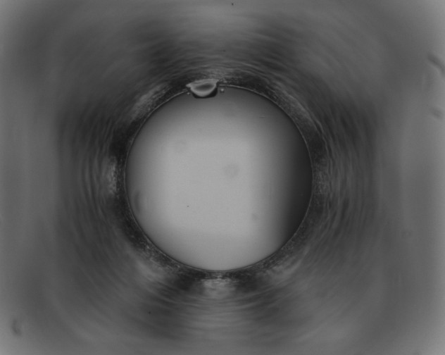 X0000091860216200709191122