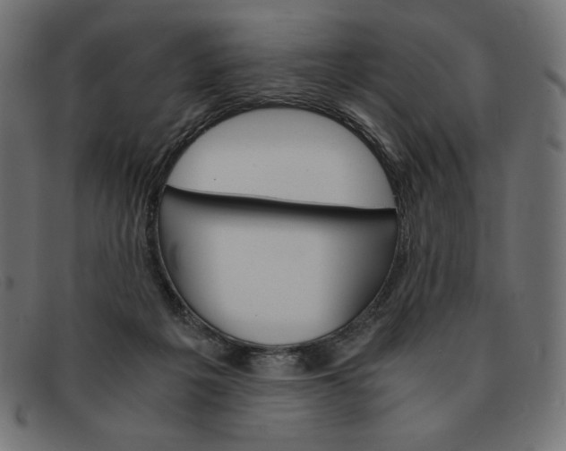 X0000091860217200709191122