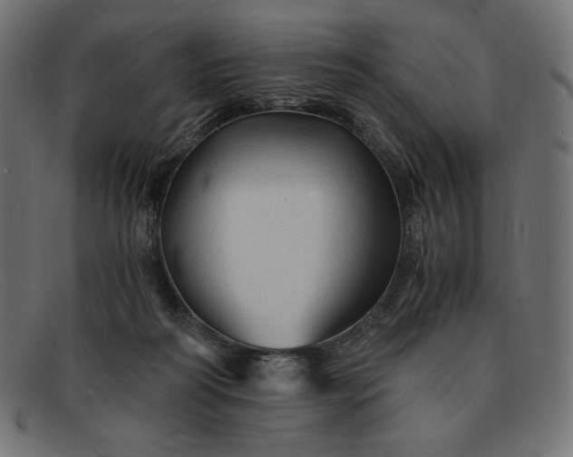 X0000091860218200709191122