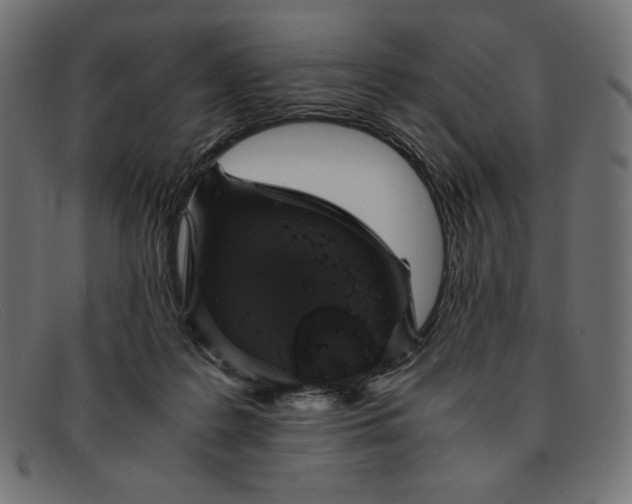 X0000091860219200709191122